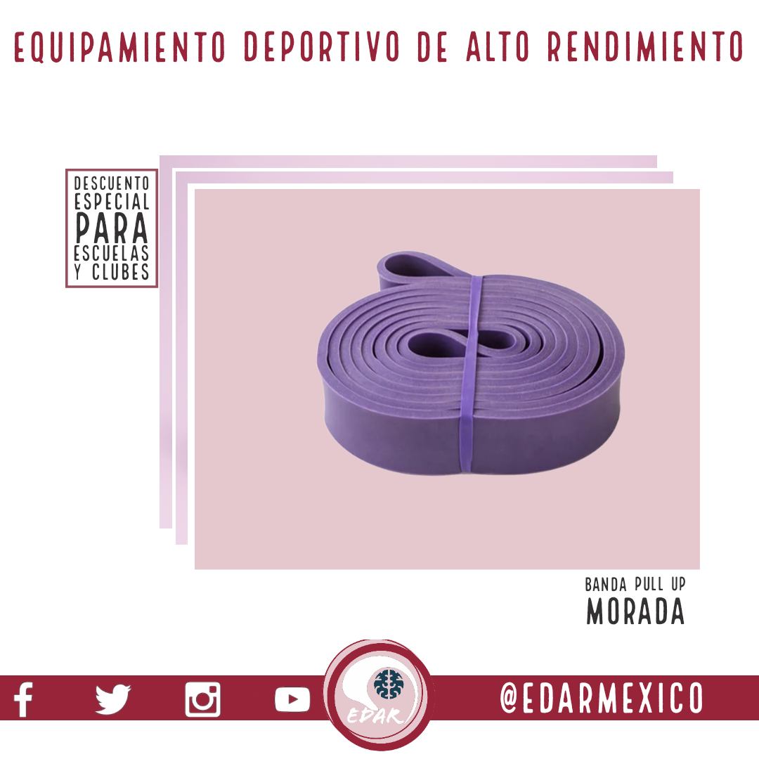 BANDA PULL UP MORADA 45-100 LBS